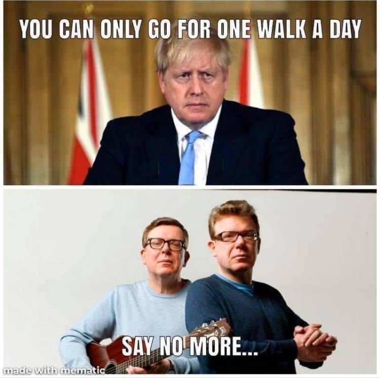 Proclaimers meme one walk per day