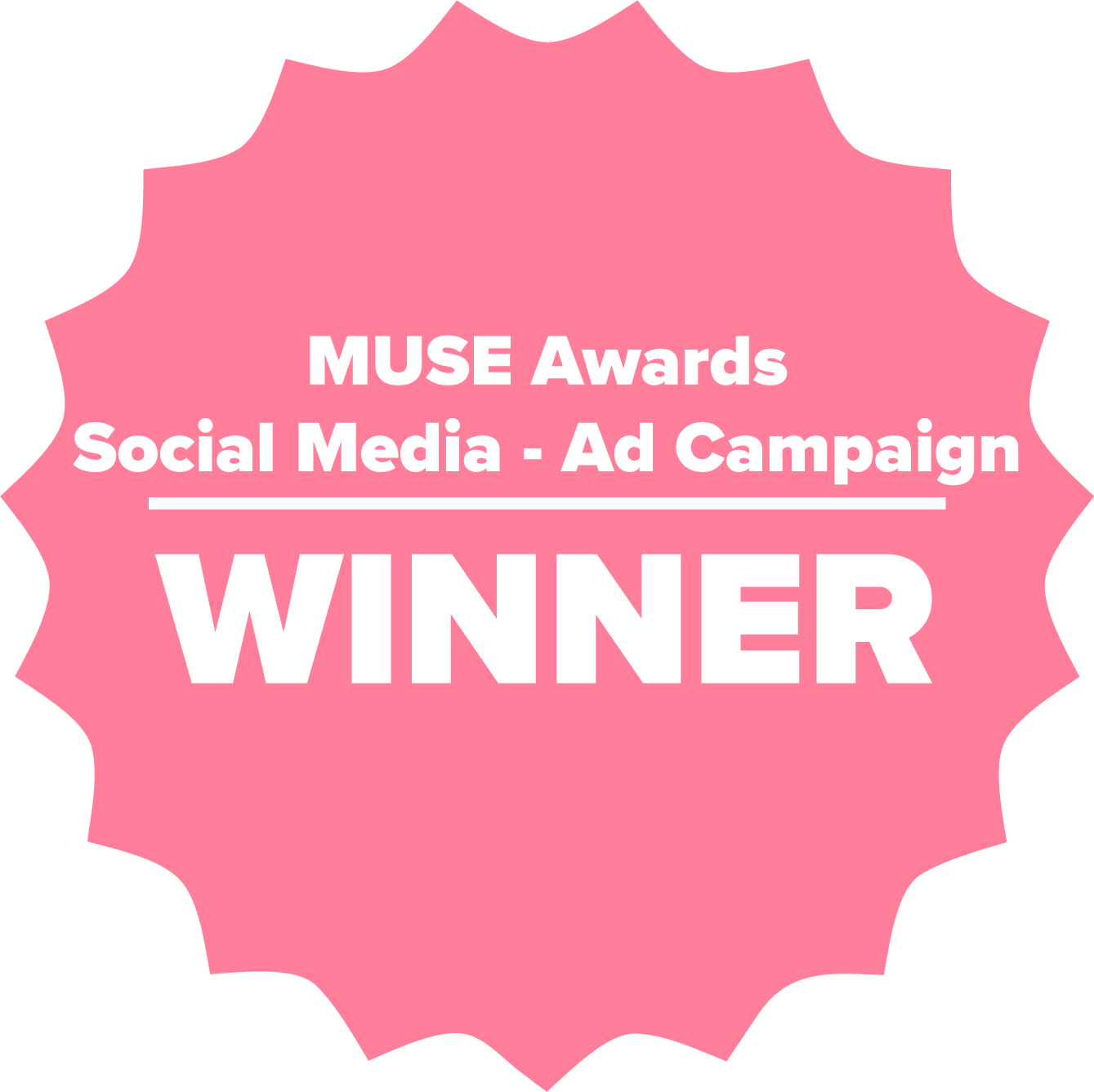 Muse Awards Social Media Ad Campaign Winner