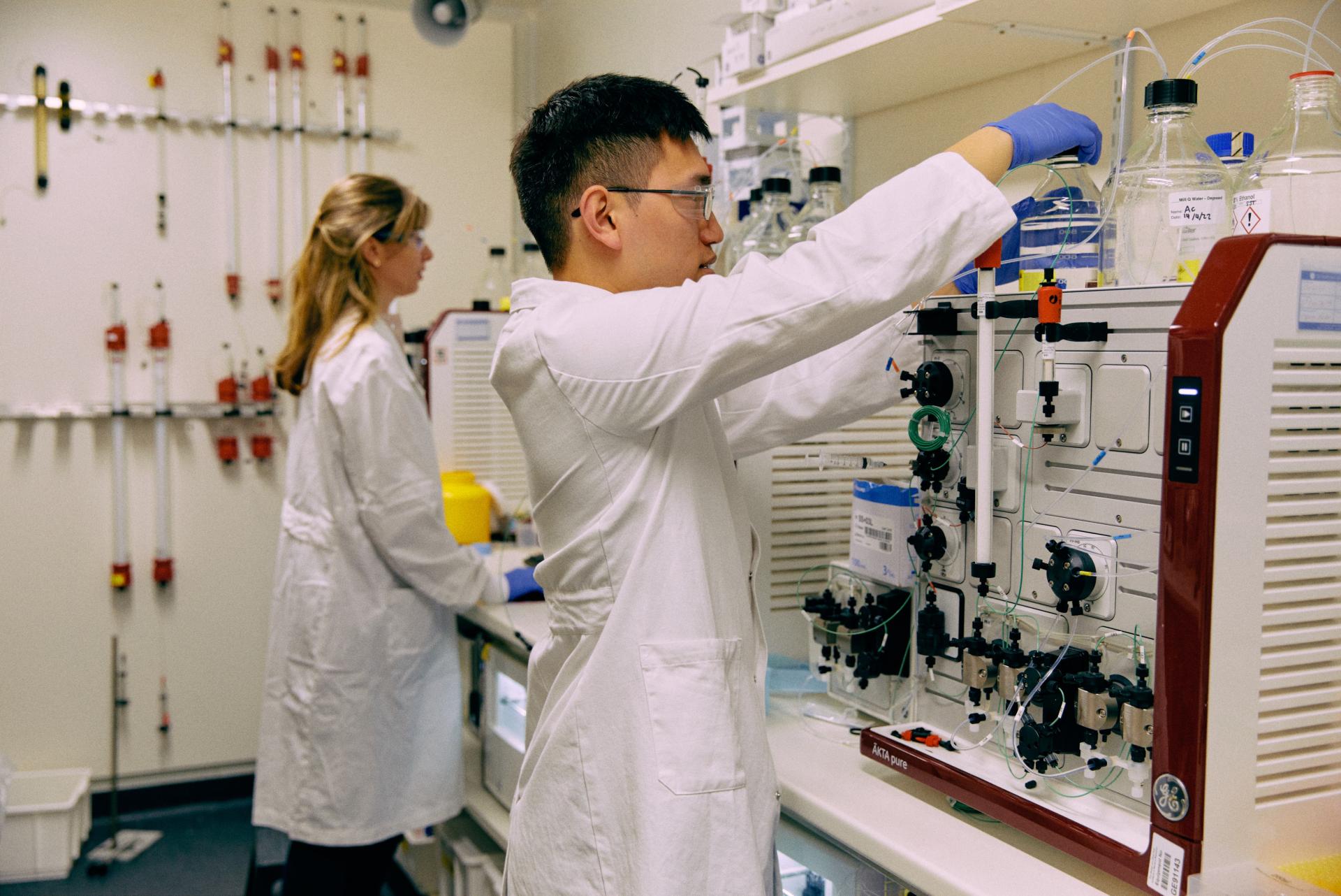 two scientists working in a lab